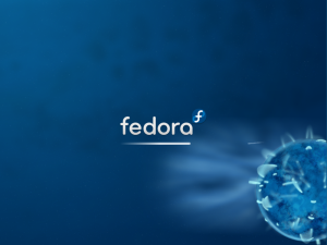 Fedora10